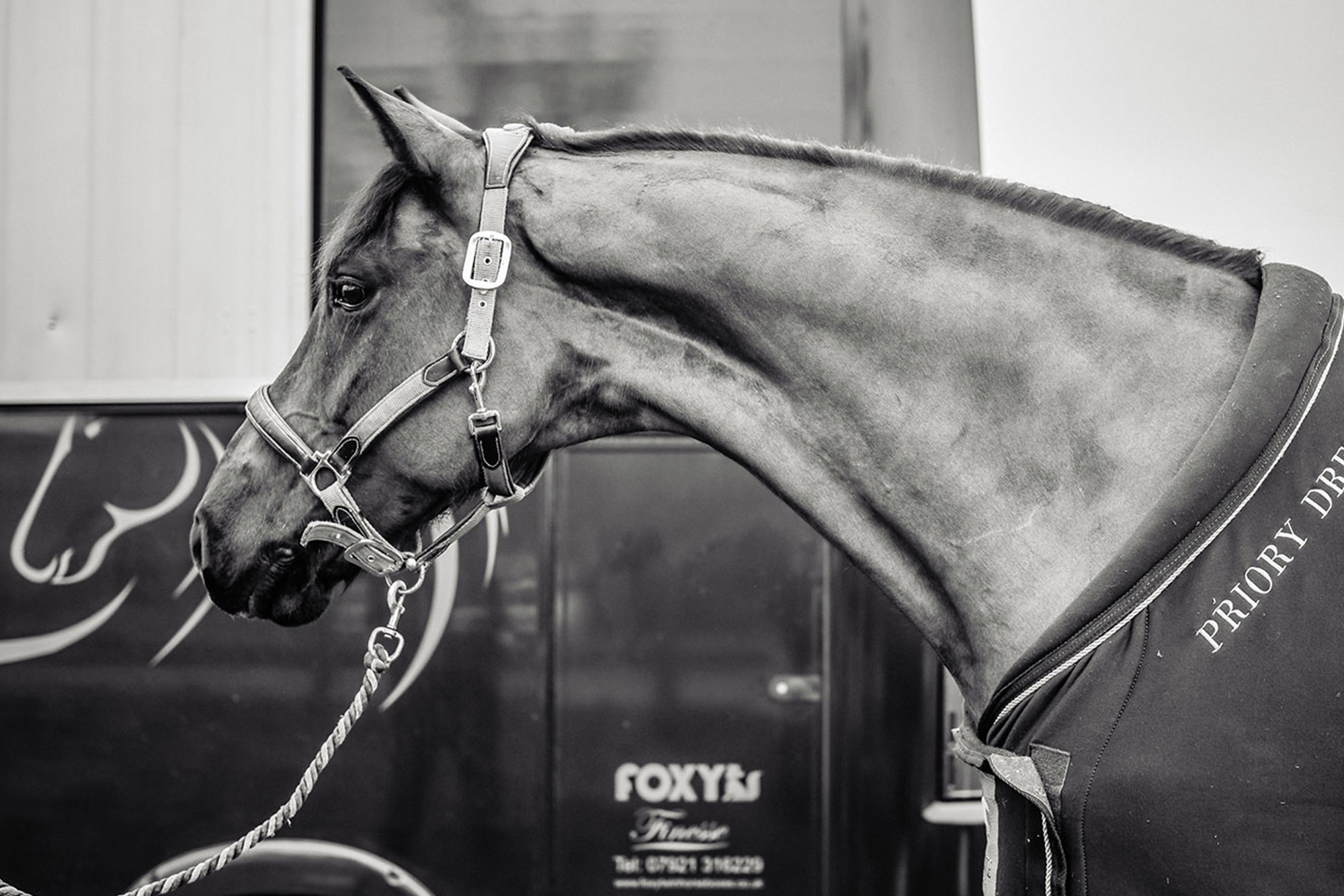 About Foxy horseboxes