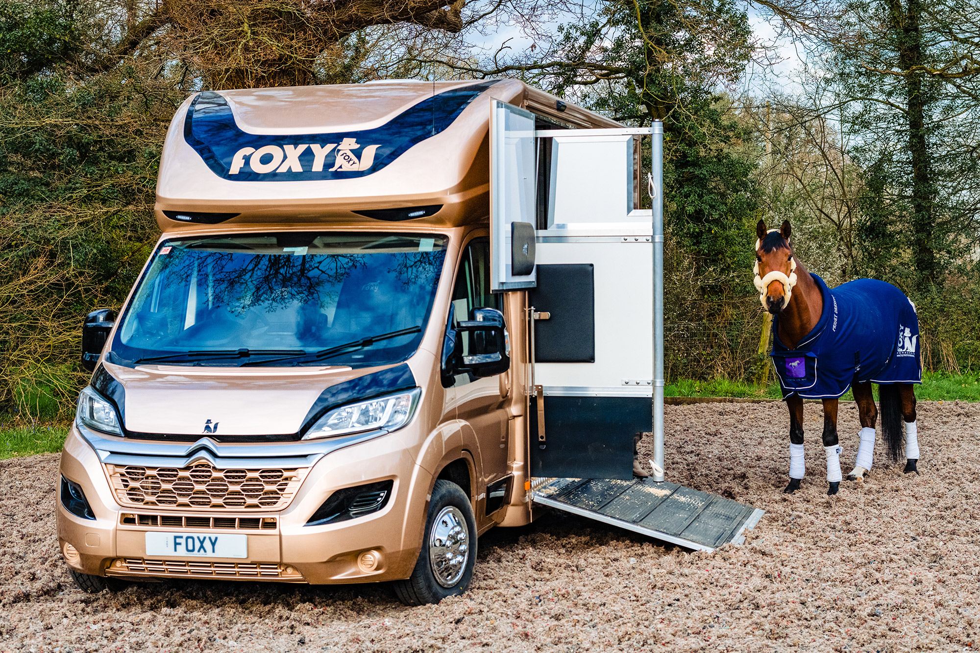 Foxy Stallion Lux Horsebox for sale 